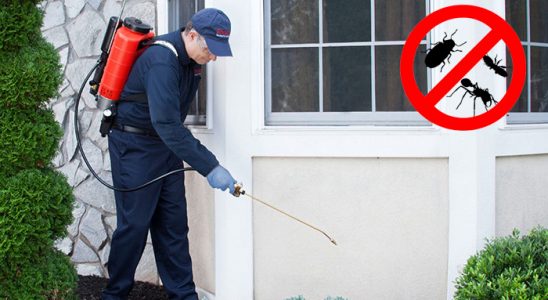 Foça Haşere İlaçlama böcek ilaçlama ve haşere kontrolü — ilaclama-tr.com